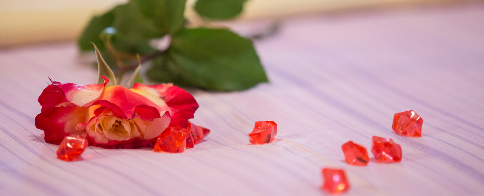 Paradise beach in Lopar on island Rab